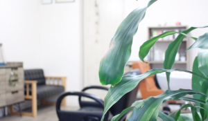 サロンイメージ6